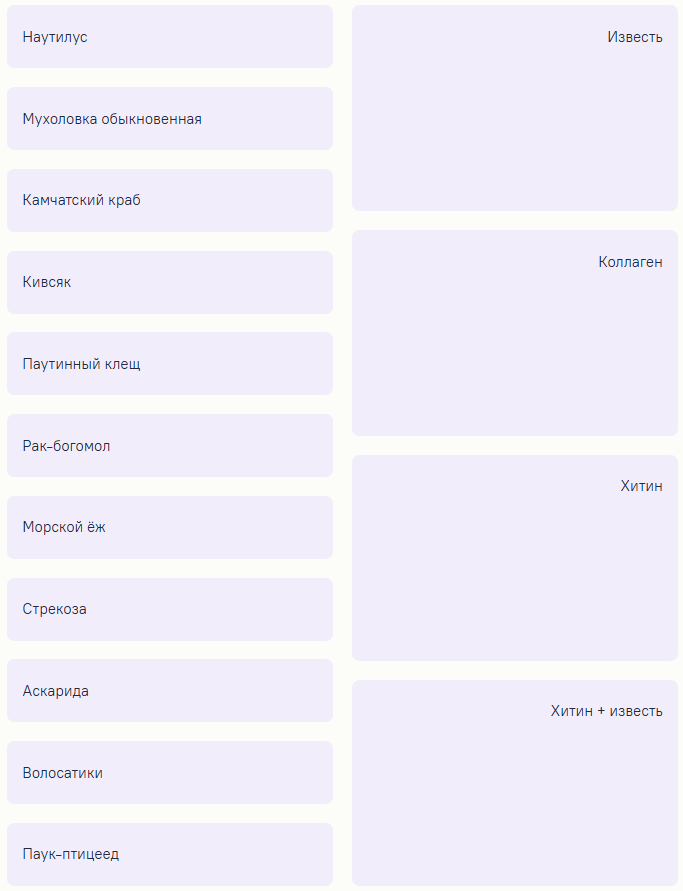 турнир ломоносова по биологии 2025