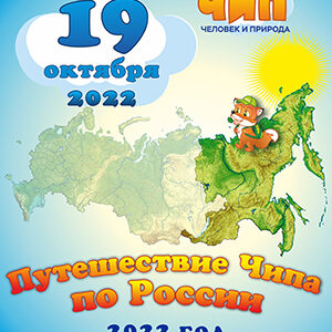 конкурс чип 2022 ответы и задания