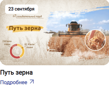 23 сентября 2024 год