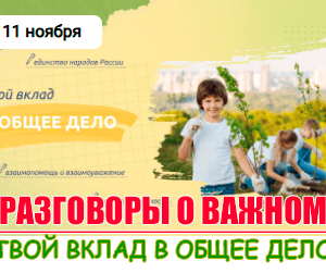 разговоры о важном 11 ноября 2024