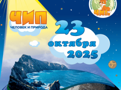 конкурс чип 2025 ответы и задания
