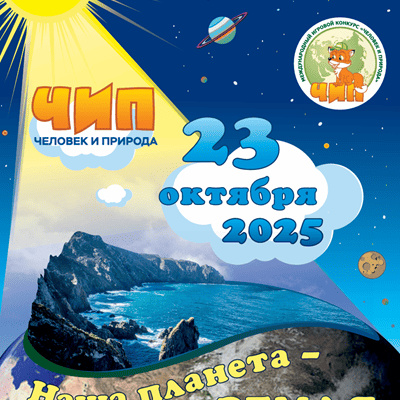 конкурс чип 2025 ответы и задания