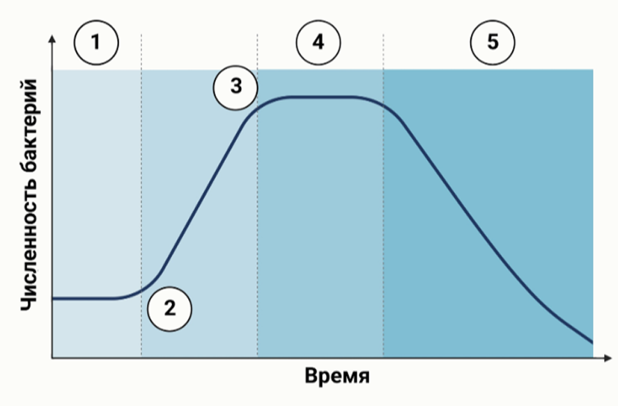 Иллюстрация к заданию
