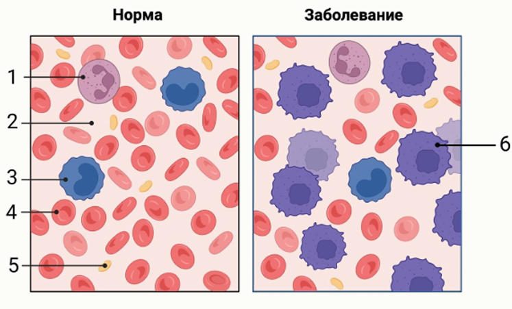 Иллюстрация к заданию