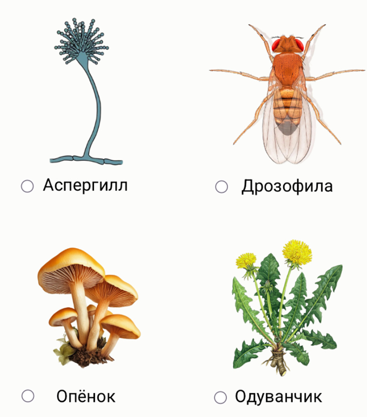 Иллюстрация к заданию